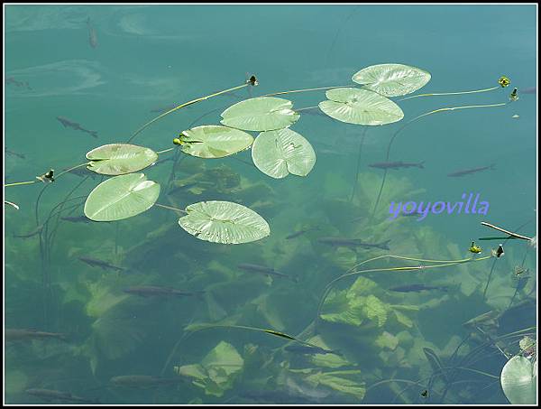 克羅埃西亞 克爾卡國家公園 Krka National Park, Croatia 