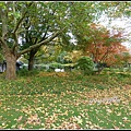 秋天的顏色 Autumn in Germany