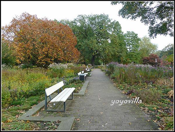 秋天的顏色 Autumn in Germany