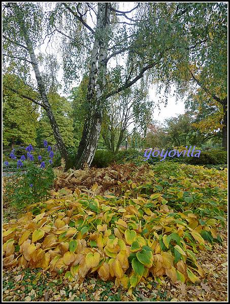 秋天的顏色 Autumn in Germany