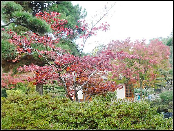 秋天的顏色 Autumn in Germany