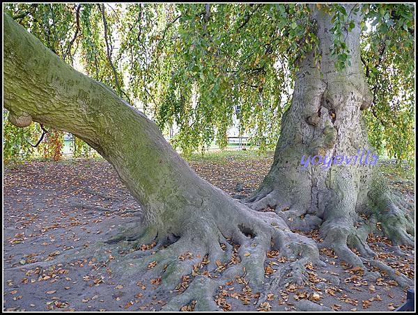 秋天的顏色 Autumn in Germany