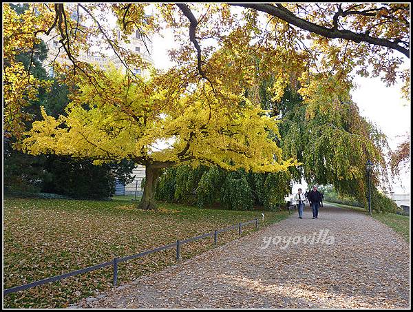 秋天的顏色 Autumn in Germany