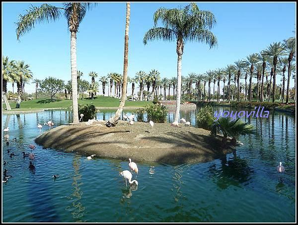 美國 加州 JW Marriott Desert Springs Resort & Spa, Palm Desert 