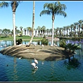 美國 加州 JW Marriott Desert Springs Resort & Spa, Palm Desert 