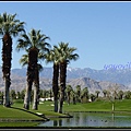 美國 加州 JW Marriott Desert Springs Resort & Spa, Palm Desert 