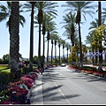 美國 加州 JW Marriott Desert Springs Resort & Spa, Palm Desert 