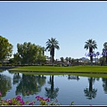 美國 加州 JW Marriott Desert Springs Resort & Spa, Palm Desert 