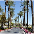 美國 加州 JW Marriott Desert Springs Resort & Spa, Palm Desert 