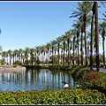 美國 加州 JW Marriott Desert Springs Resort & Spa, Palm Desert 