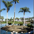 美國 加州 JW Marriott Desert Springs Resort & Spa, Palm Desert 