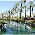 美國 加州 JW Marriott Desert Springs Resort & Spa, Palm Desert 