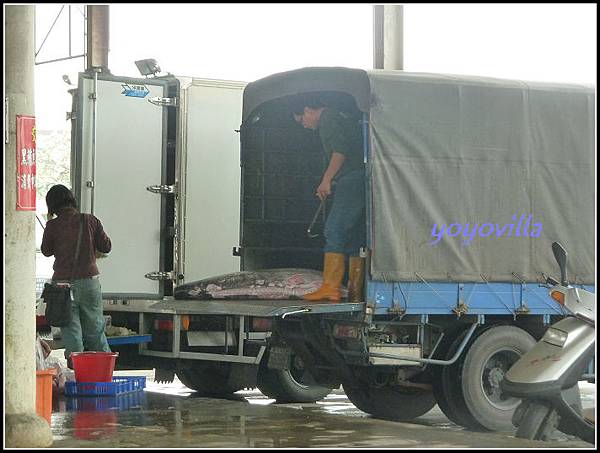 台灣 屏東縣 東港 Donggang,Taiwan