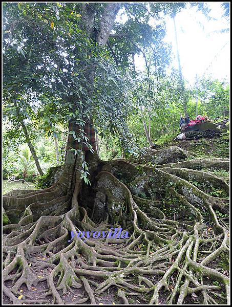 巴釐島 象洞 Goa Gajah, Bali 