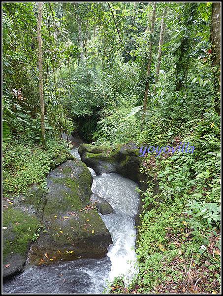 巴釐島 象洞 Goa Gajah, Bali 