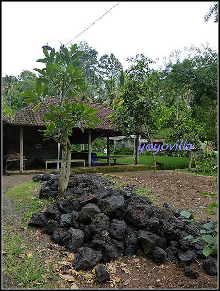 巴釐島 象洞 Goa Gajah, Bali 