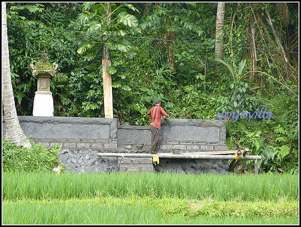 巴釐島 象洞 Goa Gajah, Bali 