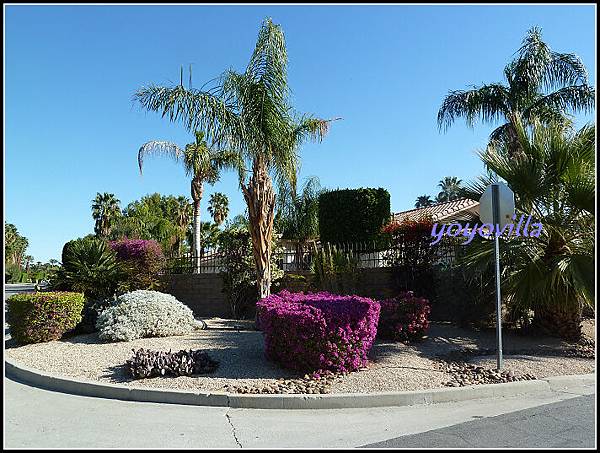 美國 加州 棕櫚泉 Palm Springs, CA, USA