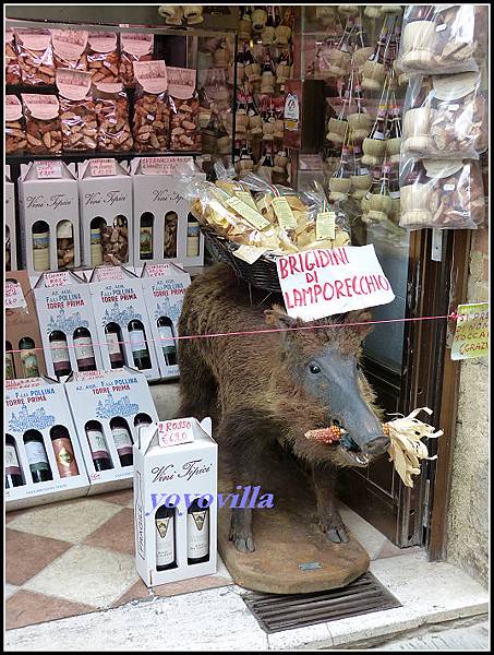 意大利 聖吉米尼亞諾 San Gimignano, Italy