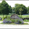 法國 奧格地區伯夫龍 Beuvron-en-Auge, France