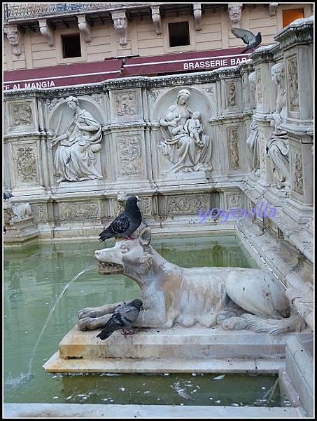 意大利 西耶納 Siena, Italy 
