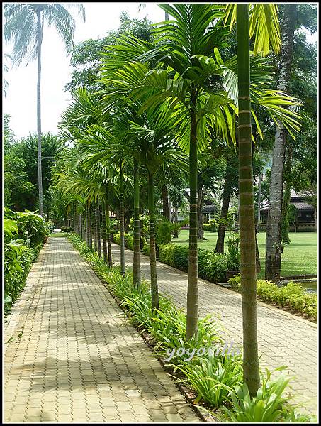 泰國 普及島 巴東海灘 Duangjitt Resort, Patong Beach, Phuket