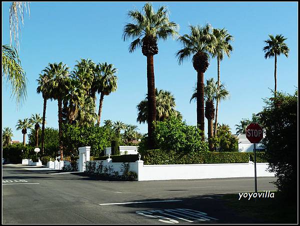 美國 加州 棕梠泉  市區 Palm Springs, CA, USA
