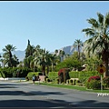 美國 加州 棕梠泉  市區 Palm Springs, CA, USA