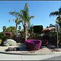 美國 加州 棕梠泉  市區 Palm Springs, CA, USA