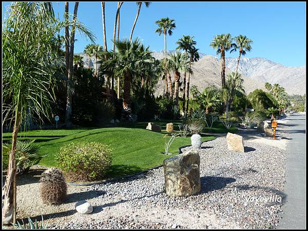 美國 加州 棕梠泉  市區 Palm Springs, CA, USA