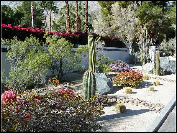 美國 加州 棕梠泉  市區 Palm Springs, CA, USA