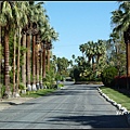 美國 加州 棕梠泉  市區 Palm Springs, CA, USA