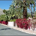 美國 加州 棕梠泉  市區 Palm Springs, CA, USA