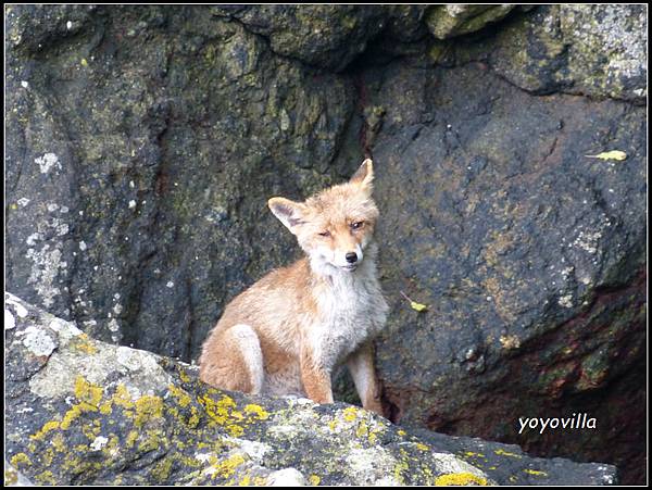 法國 迪納爾 Dinard, France