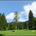 德國 林德霍夫宮 Schloss Linderhof, Germany