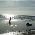 美國 加州 亨廷頓海灘 Huntington Beach, California