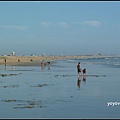 美國 加州 亨廷頓海灘 Huntington Beach, California