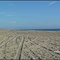 美國 加州 亨廷頓海灘 Huntington Beach, California