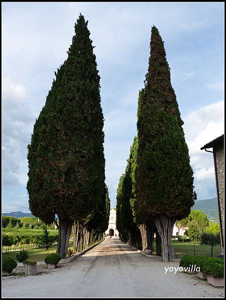 義大利 阿西西 Assisi, Italy