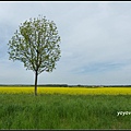 德國 圖林根 田園景色 Thüringen, Germany