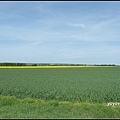 德國 圖林根 田園景色 Thüringen, Germany