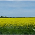 德國 圖林根 田園景色 Thüringen, Germany