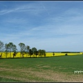 德國 圖林根 田園景色 Thüringen, Germany