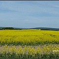 德國 圖林根 田園景色 Thüringen, Germany