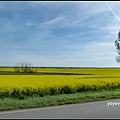 德國 圖林根 田園景色 Thüringen, Germany