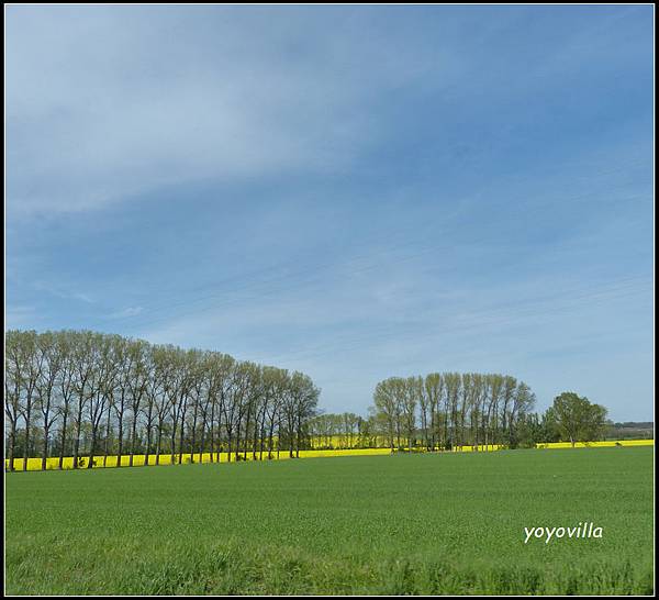 德國 圖林根 田園景色 Thüringen, Germany