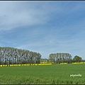 德國 圖林根 田園景色 Thüringen, Germany