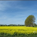 德國 圖林根 田園景色 Thüringen, Germany