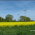 德國 圖林根 田園景色 Thüringen, Germany