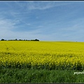 德國 圖林根 田園景色 Thüringen, Germany